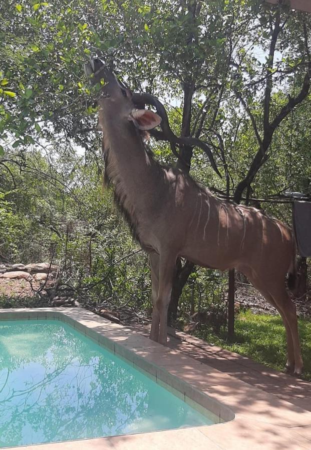 Nature House Marloth Park Exterior photo